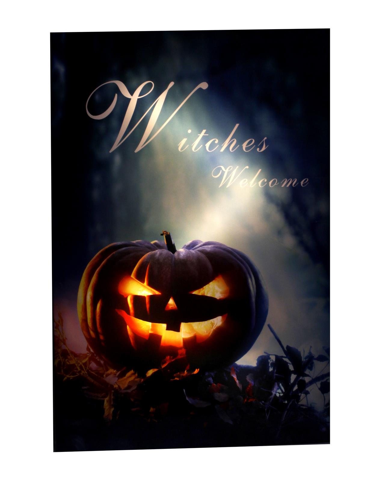 Leinwandbild mit integrierten Lichtern "Witches Welcome" 40 x 60 cm