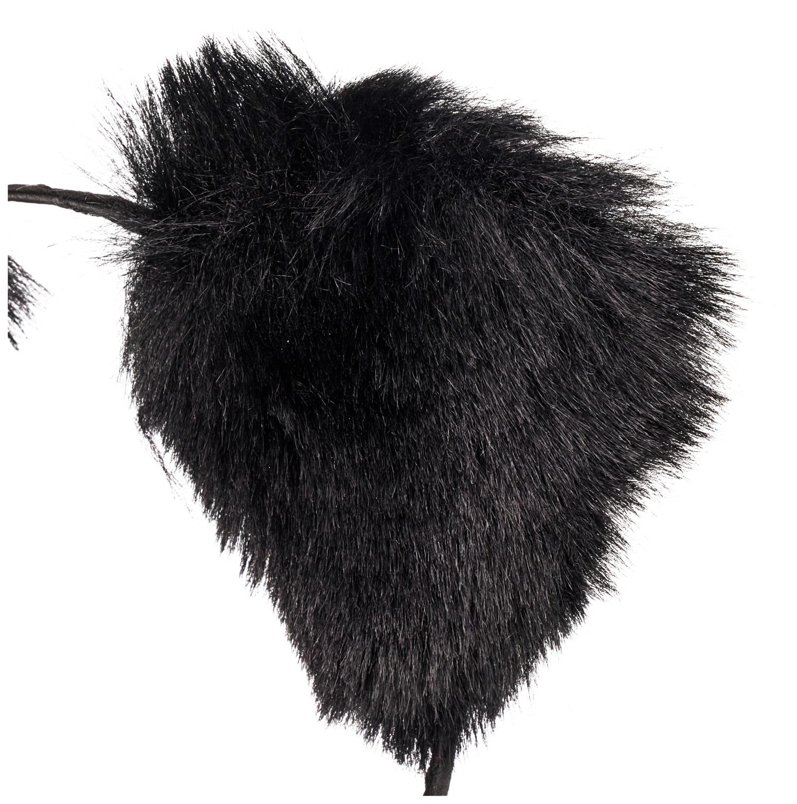 Teddybär Ohren