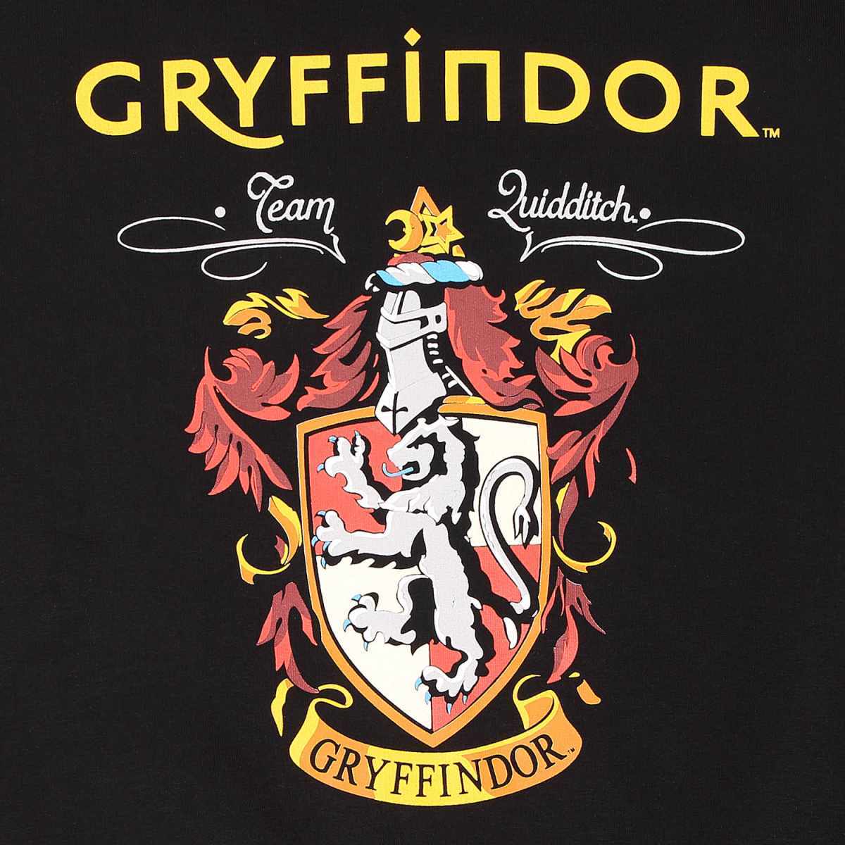 Harry Potter Hoodie XXL Property Of Gryffindor