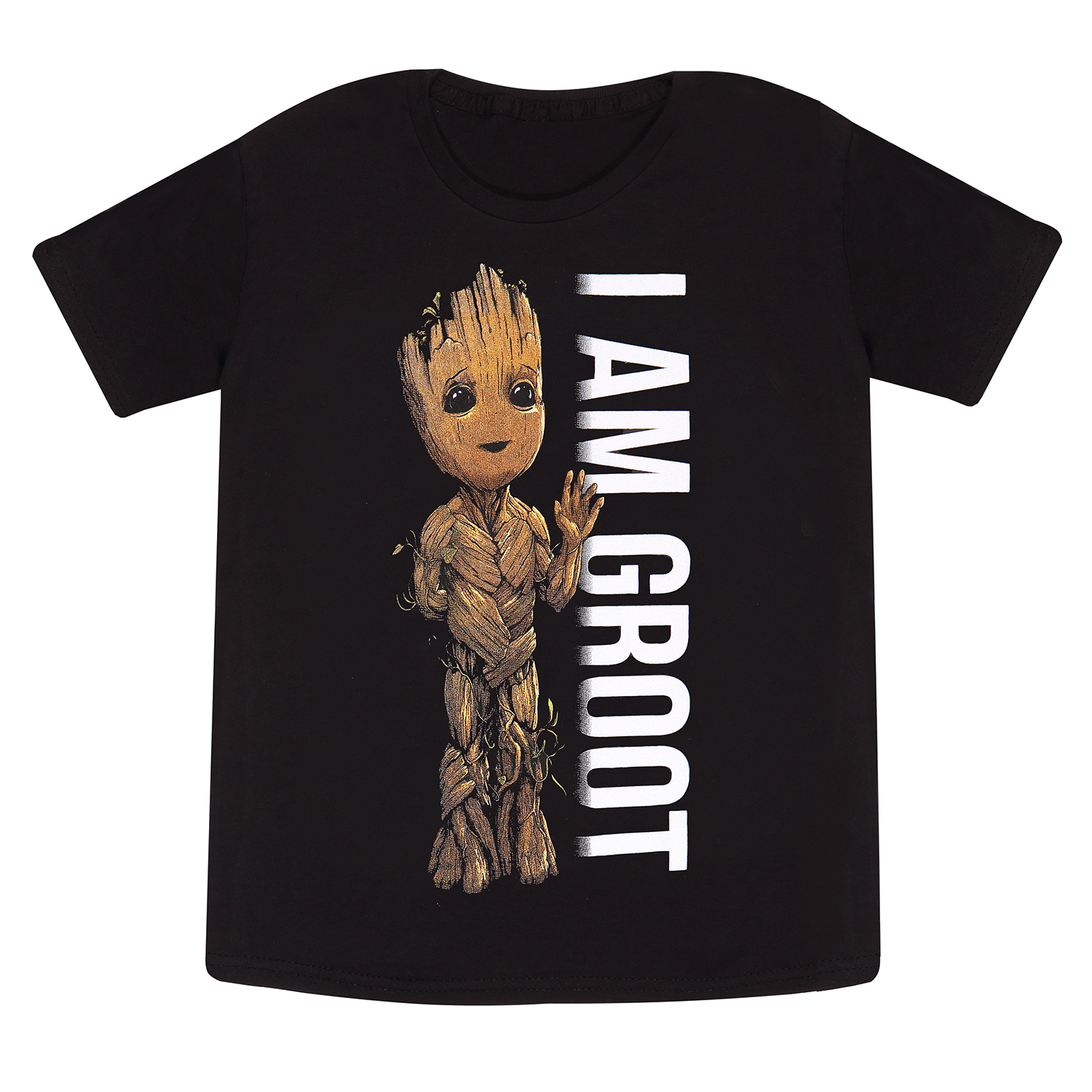 Marvel Studios I Am Groot Kindershirt XXL Schwarz Unisex Profile