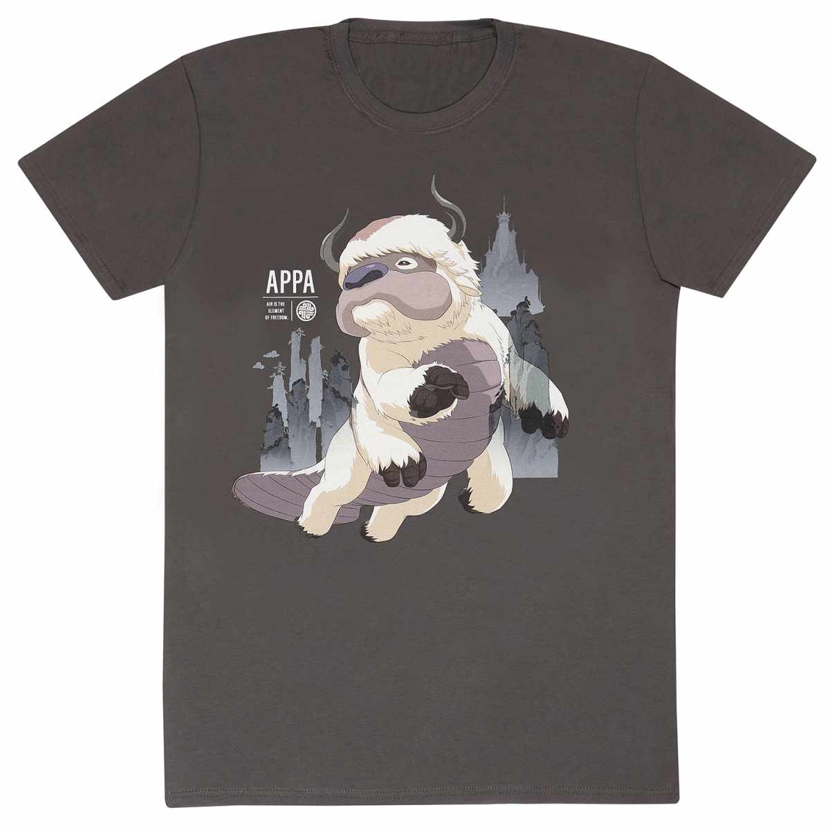 Nickelodeon Avatar T-Shirt S Grau Unisex Appa