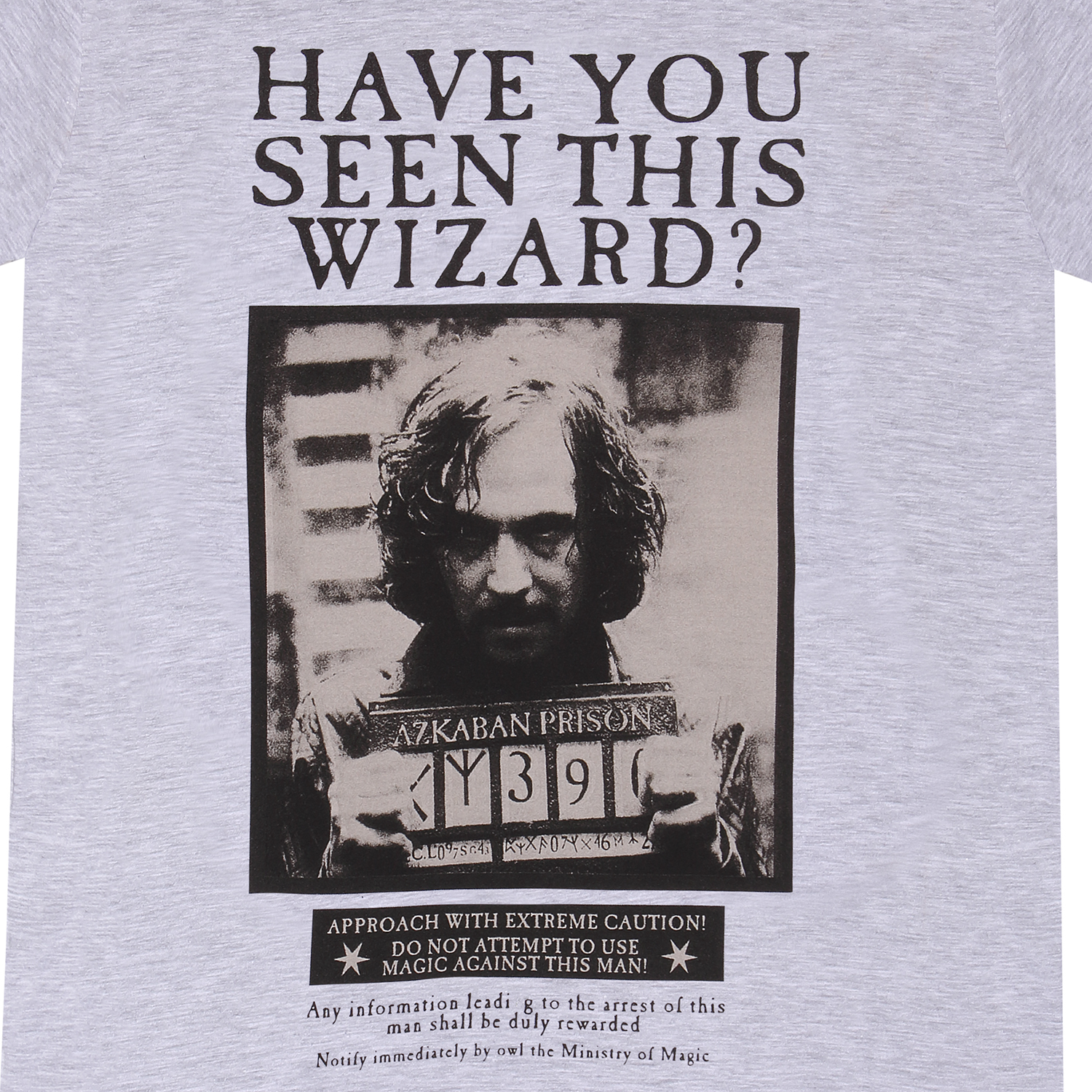Harry Potter T-Shirt XXL Meliert Grau Unisex Sirius Black Poster