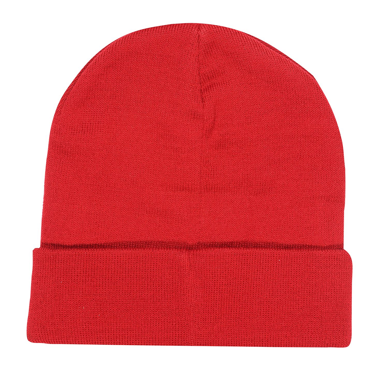 DC Flash Beanie Logo (Beanie)