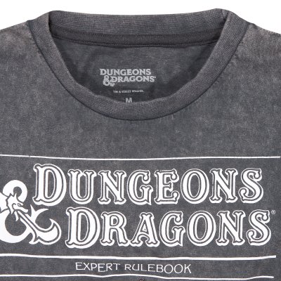 Dungeons and Dragons T-Shirt Grau Unisex Original RPG