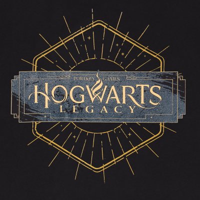 Hogwarts Legacy T-Shirt Schwarz Unisex Logo
