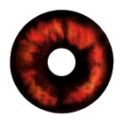 Kontaktlinsen Red Demon Sclera 6 Monate, Halloween Zombie Vampir Dämon