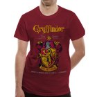 Harry Potter Shirt  Gryffindor Quidditch rot